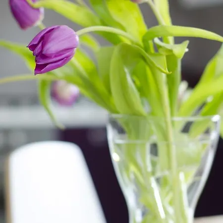 Bed & Breakfast Marialdo 3*